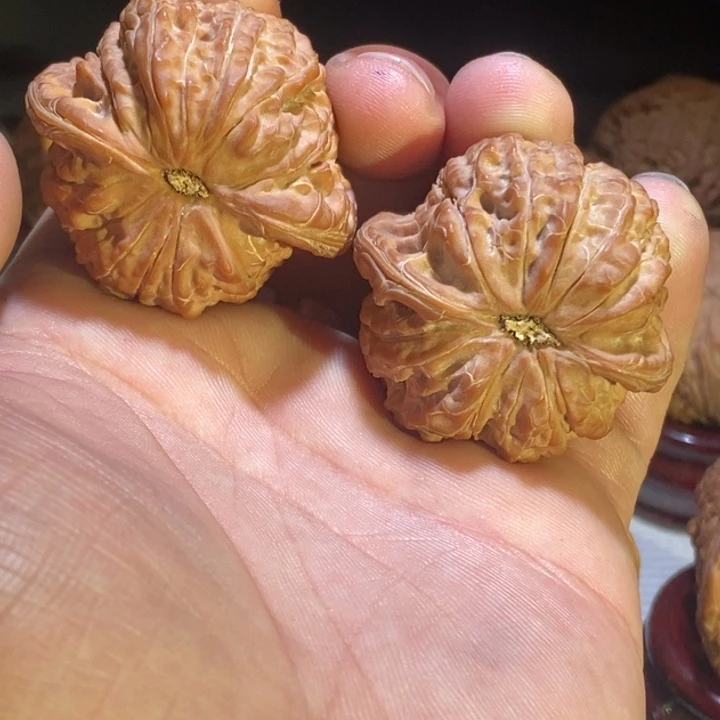 T***桑把件文玩核桃42血麒麟