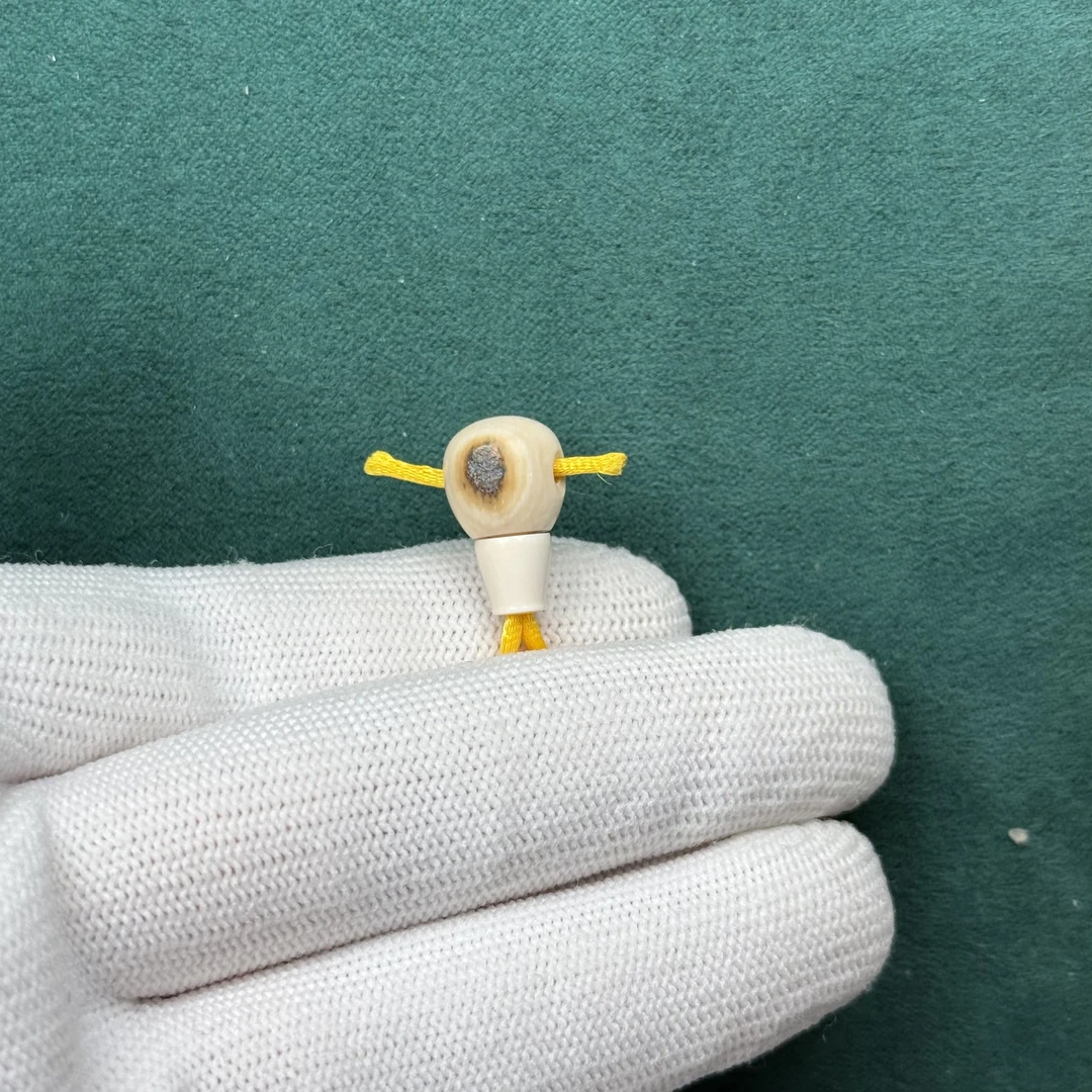 D79-13天然猛犸牙 黄金瞳三通9.5×15.8×9.8mm支持复检假一罚十