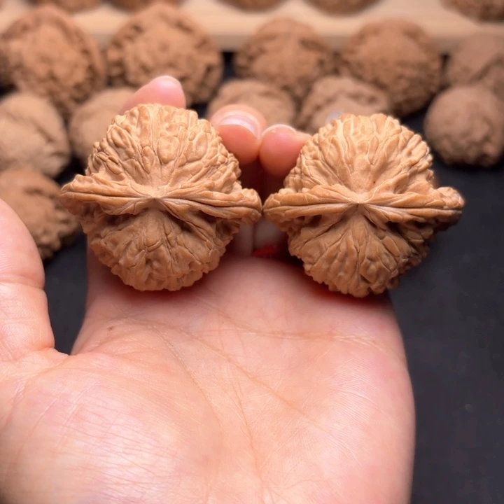 文玩核桃把件44白狮子