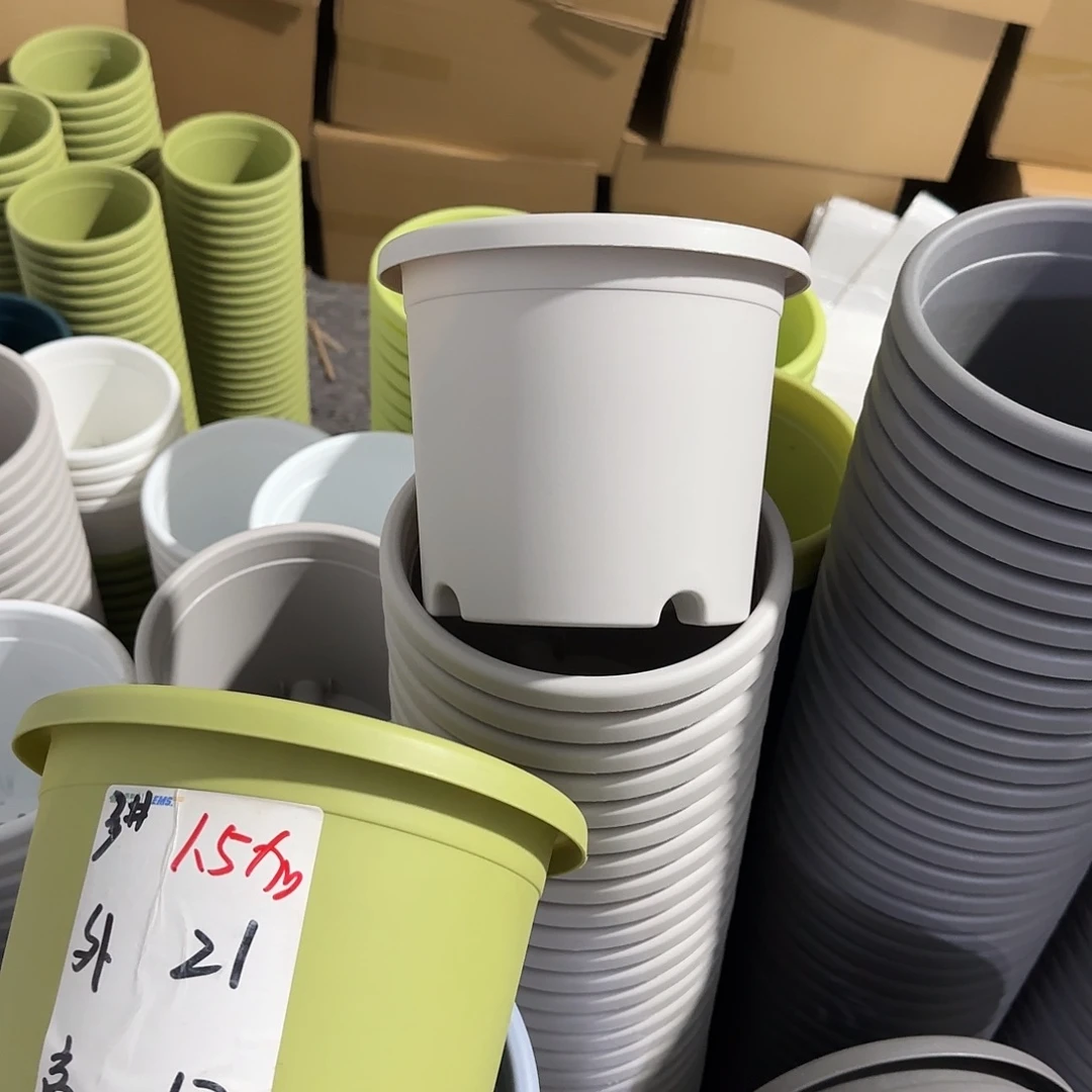 微瑕2号6个带托，灰白