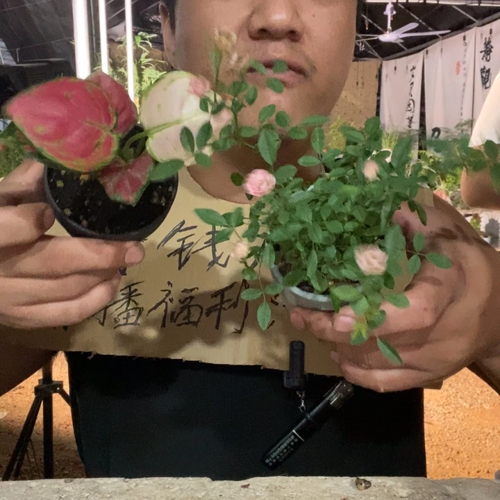 退款拉黑一物一拍10