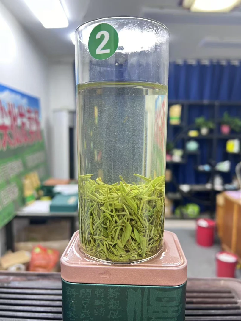 2025 信阳毛尖 雨前小芽栗香 实惠好喝 简装袋装