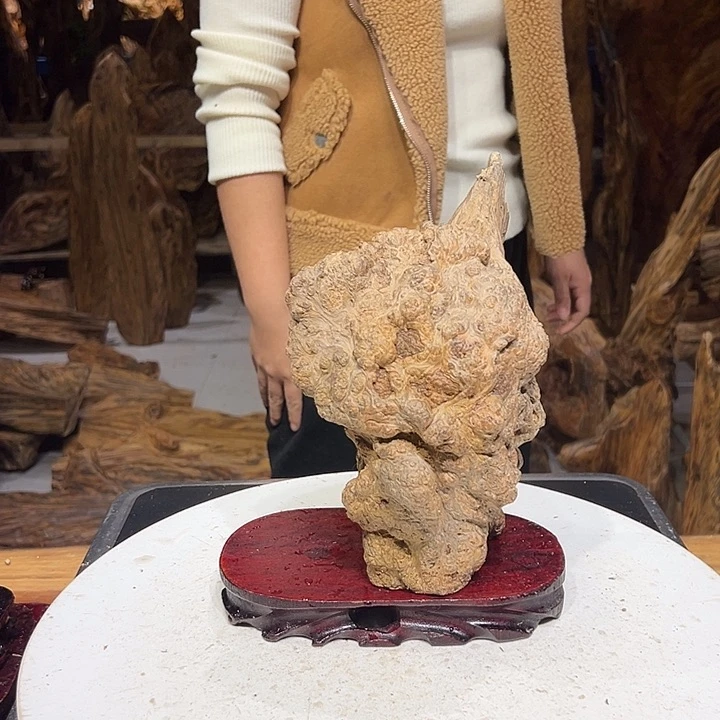 松木（琥珀木）天****和