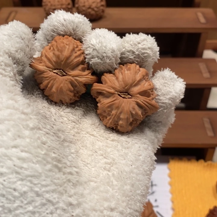 小***王40 尺寸白狮子核桃