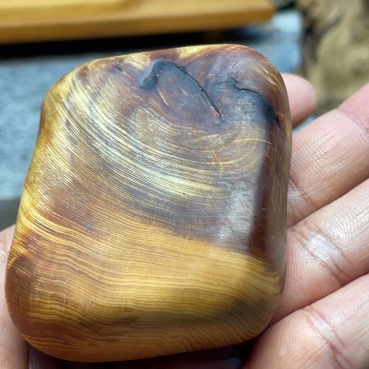 柏木（崖柏）崖柏140