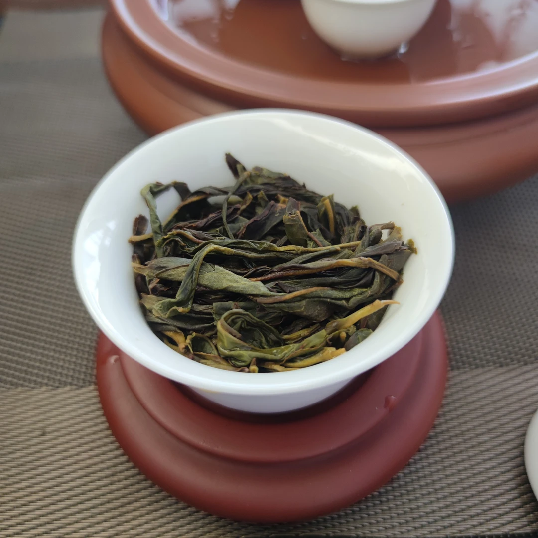 【24年六雪大乌叶】