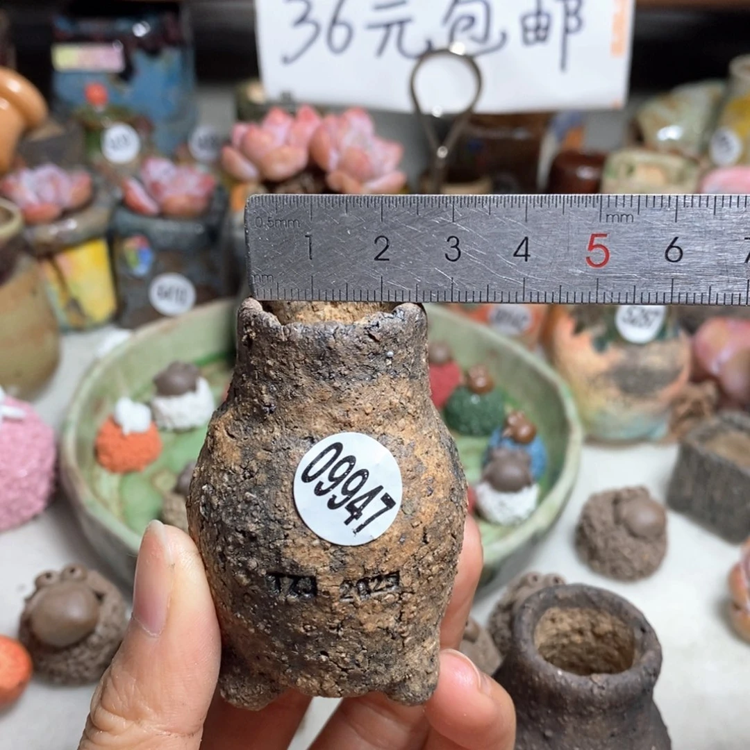 双十一活动款不退不换的，原价28