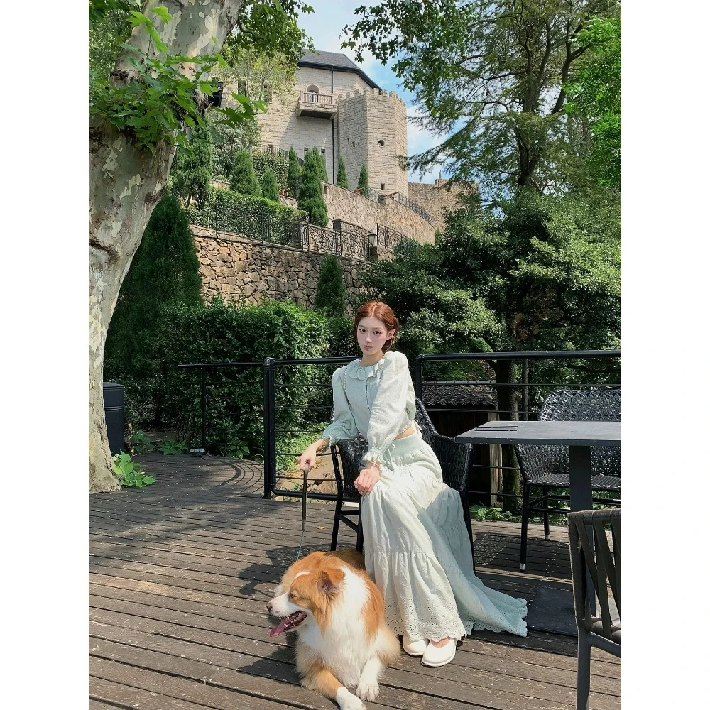 刺绣翻领衬衫半裙两件套