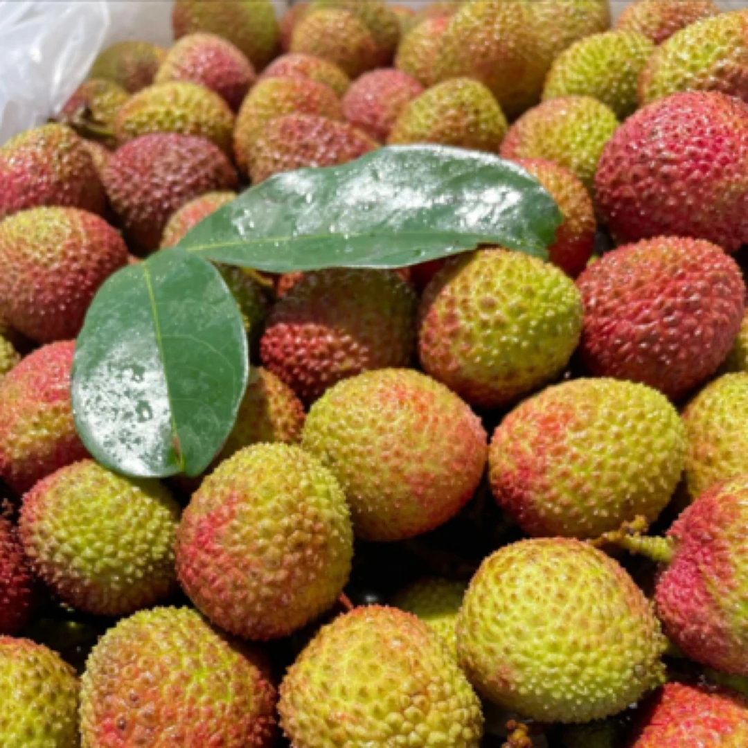 新鲜妃子笑荔枝净重1.8公斤左右云南省