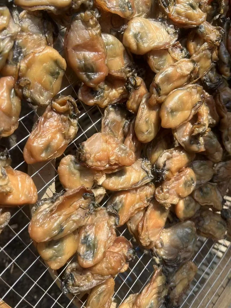 台山蚝豉 沙井蚝干 无添加生晒台山蚝豉 超香超鲜