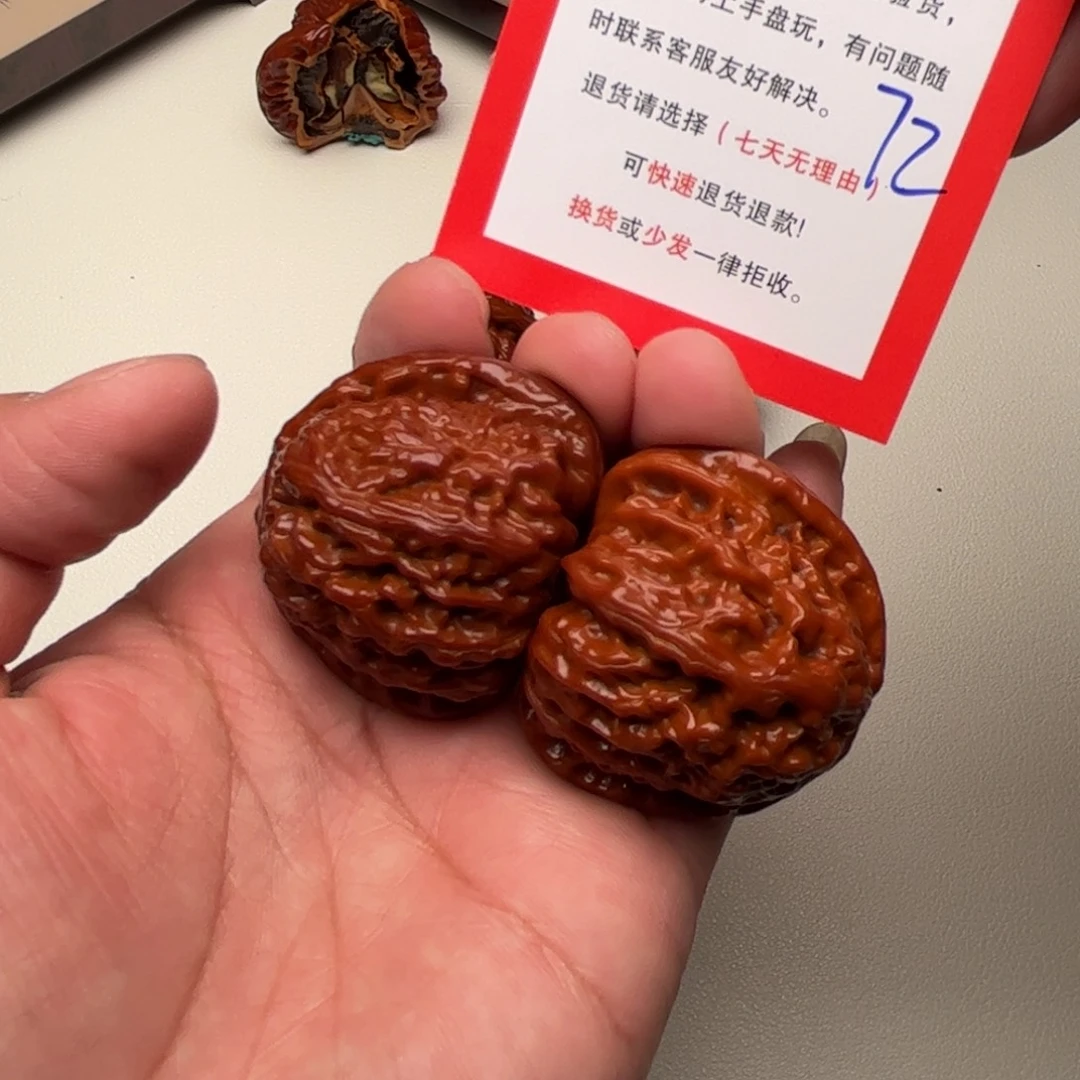 39尺。     白狮子