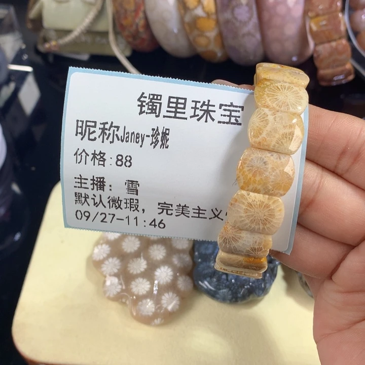 J***妮硅化珊瑚(珊瑚玉)未镶嵌吊坠(赠链)