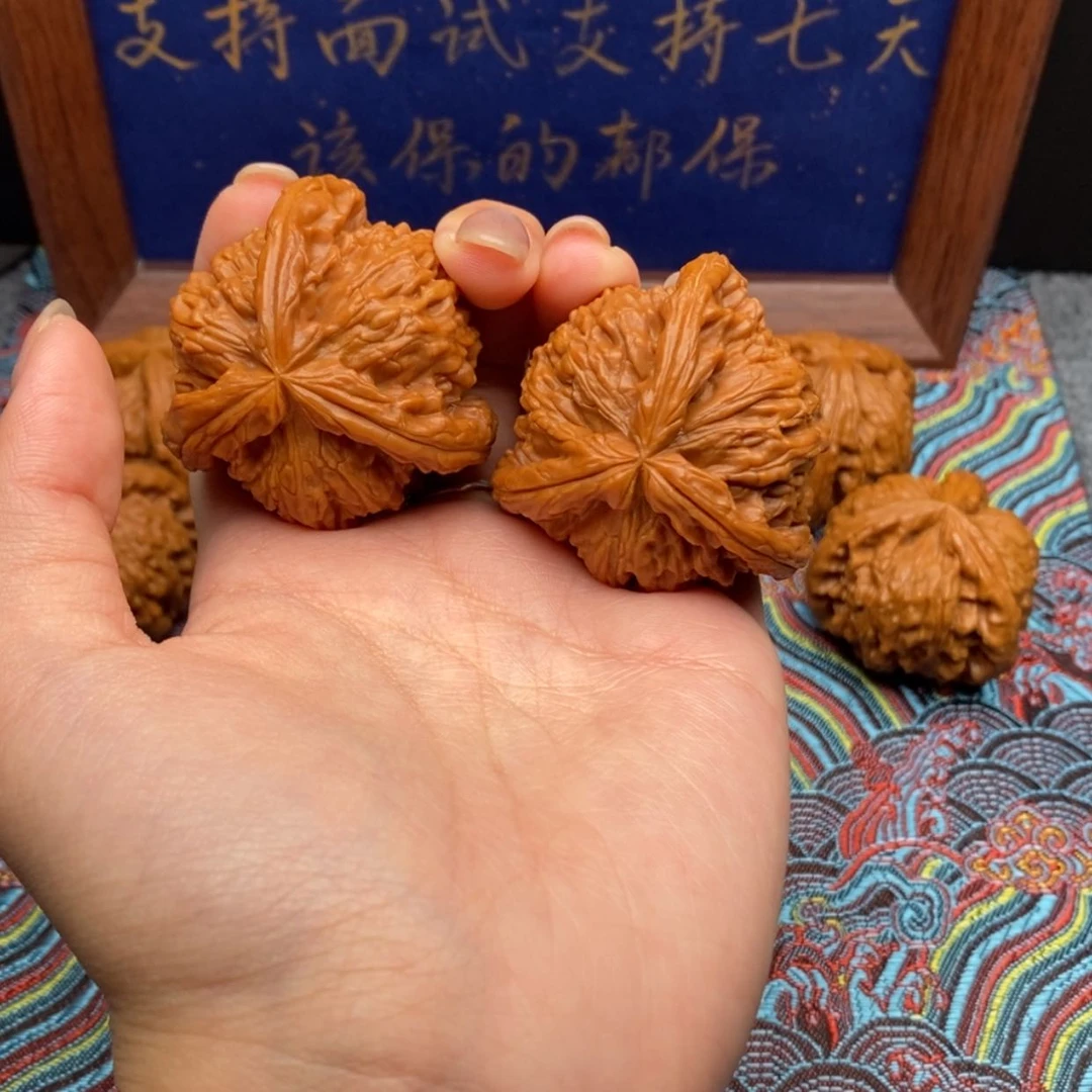 【闪购商品】祥白狮