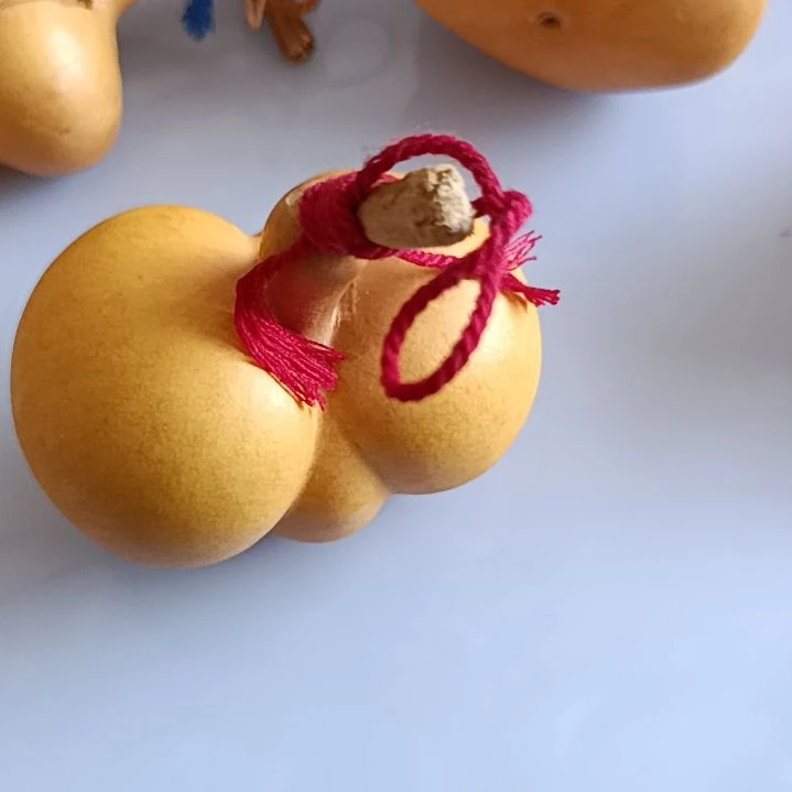 样*臭好看葫芦好看葫芦好看