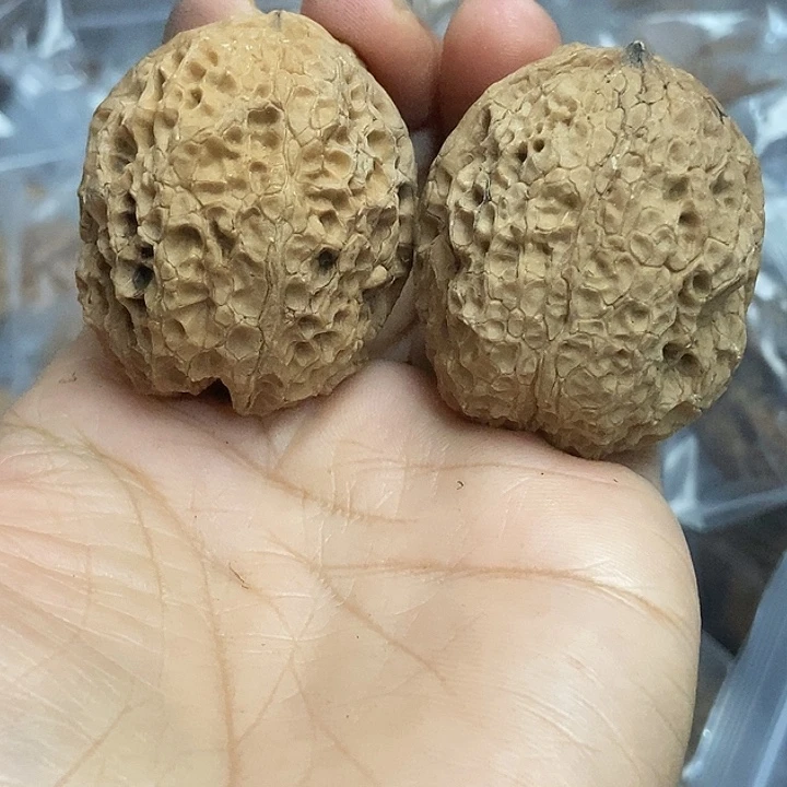 把件文玩核桃云南铁核桃基地52