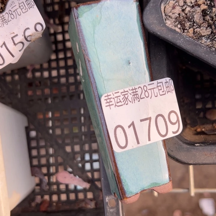 M***叶幸运的是你还没遇到你喜欢