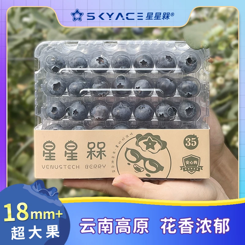 星星槑【海王冰晶莓果盒】云南高山蓝莓当季鲜果香脆甜爆汁新鲜水果
