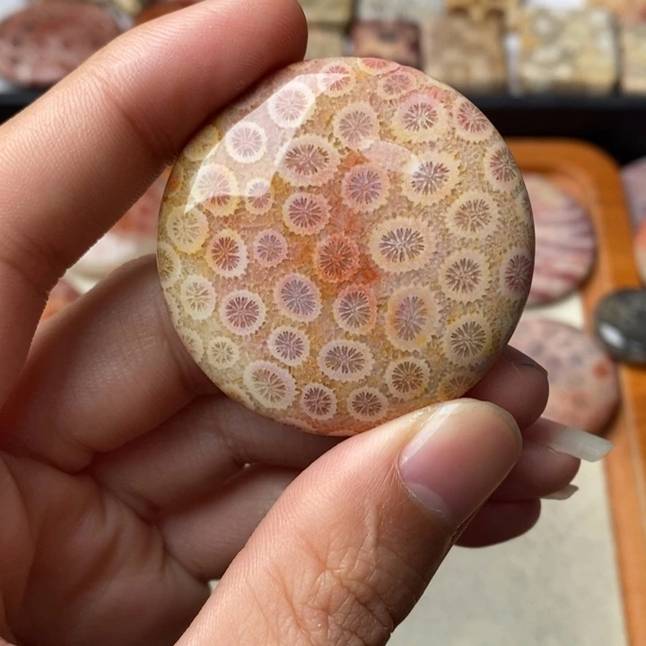 硅化玉颈饰未镶嵌过**烟