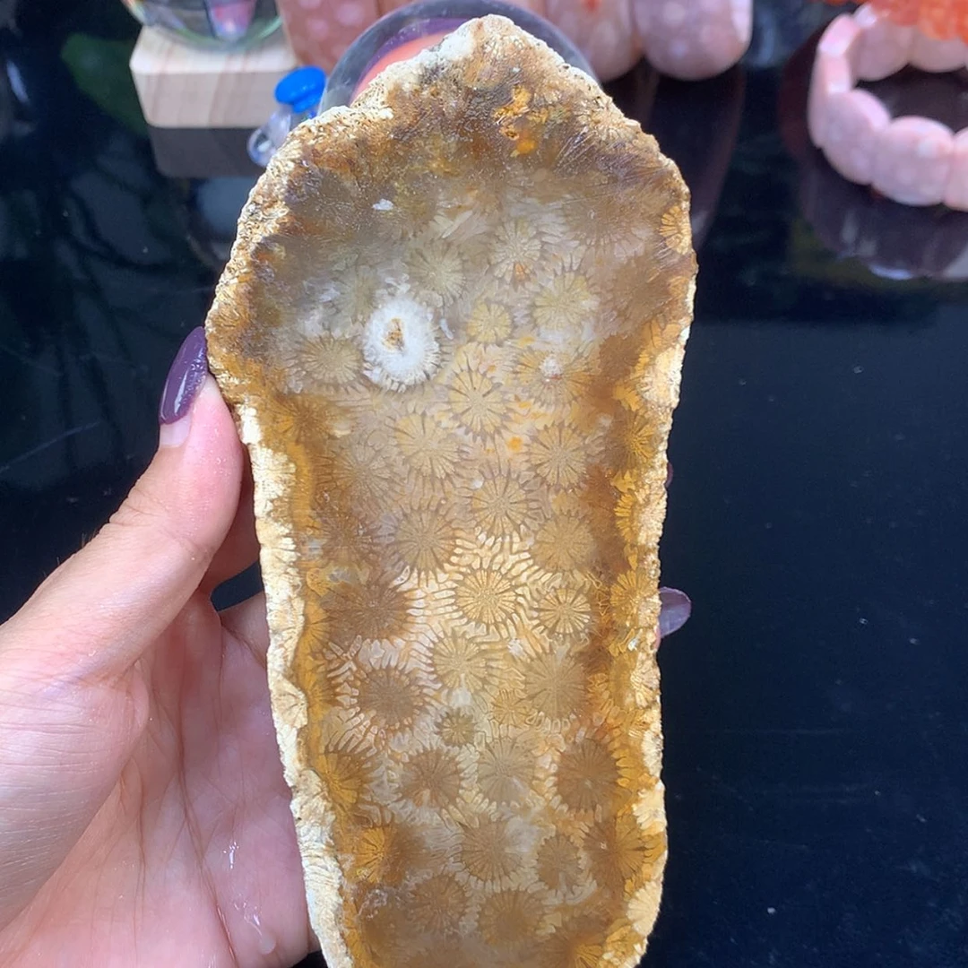 【闪购商品】颈饰未镶嵌硅化珊瑚(珊瑚玉)哇 金花片料可定制(36号)