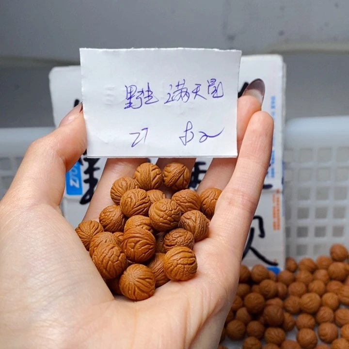 宝***代手串桃核11mm左右野生满天星27颗（打孔）