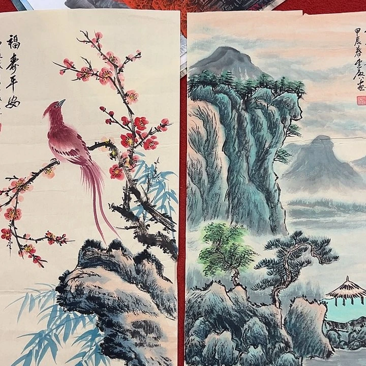 横款新号开播，欣赏一下吧……