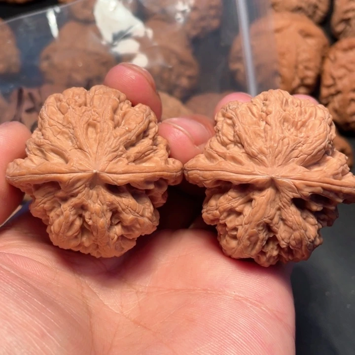 核桃史****》44尺寸大粗筋