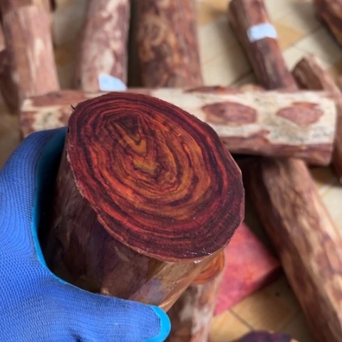 木天****此黄花梨木料158