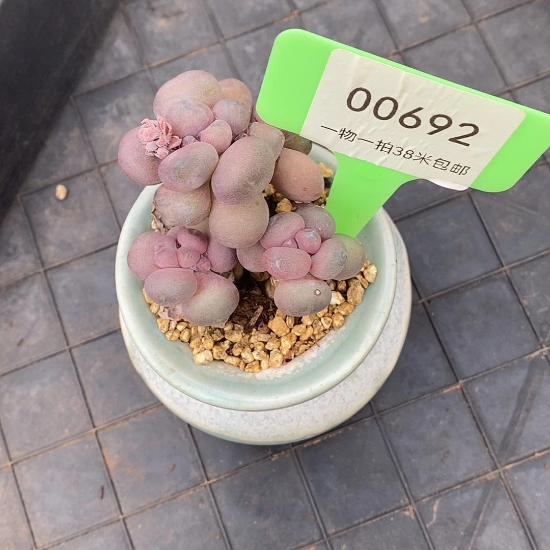 692投资苏伟莉莉璐璐哦哦
