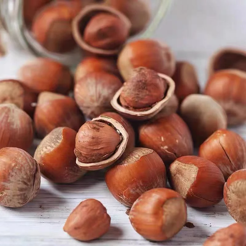 榛子新货新鲜开口零食坚果