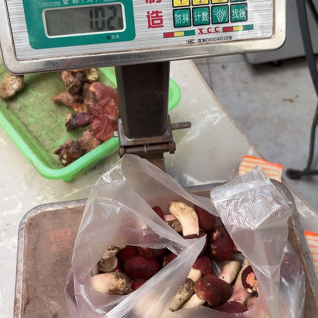 幸****云南小表妹野生菌代购中国大陆