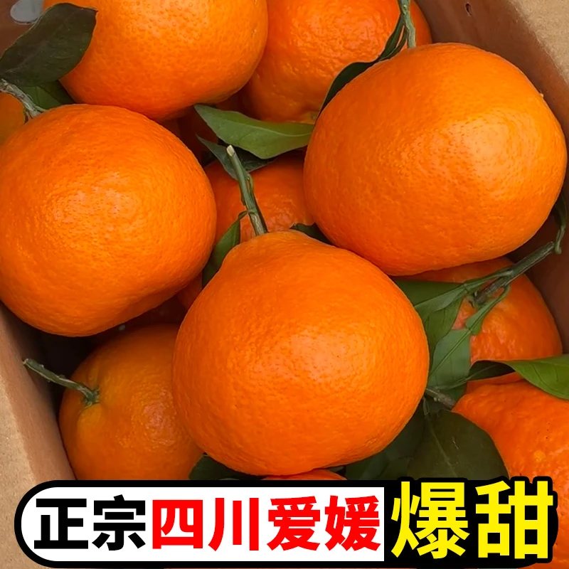 正宗四川爱媛38号果冻橙应季水果产地直发当季新鲜橙子整箱冰糖甜
