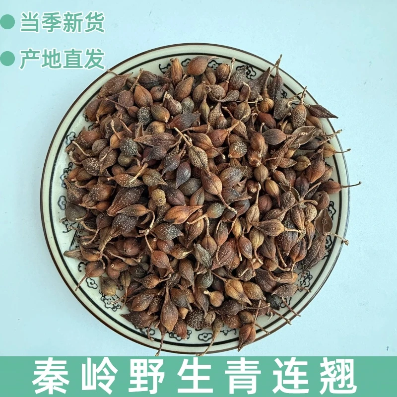 秦岭野生连翘中药材 无硫精选深山连翘味浓连翘茶