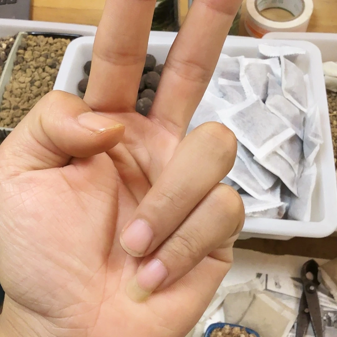 在*上黑大袋3—6一袋包邮
