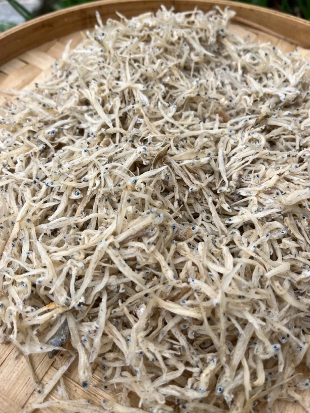 【晒场直发】渔民自晒淡干白饭鱼银鱼干海味干货