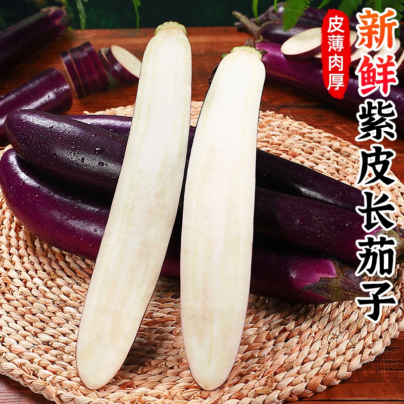【鲜嫩味美】新鲜紫皮长茄子5斤装长线大茄子紫黑茄非圆茄应季蔬菜