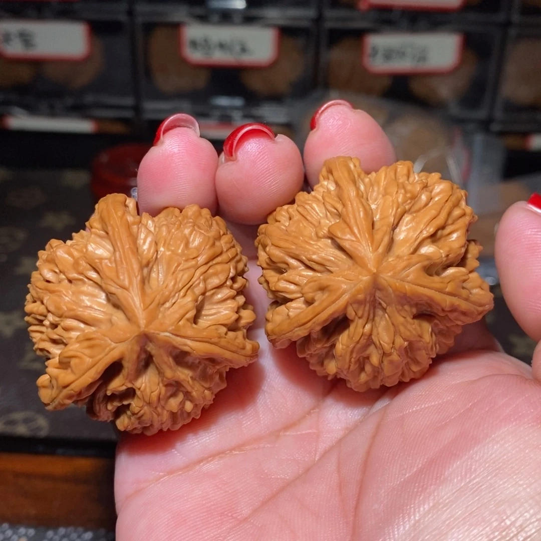 文玩核桃把件43御龙奔