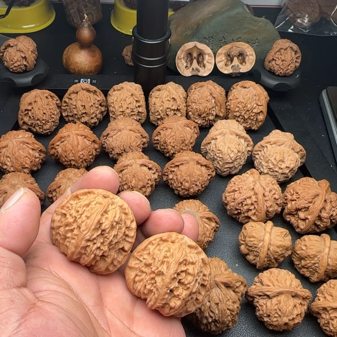 41尺全品无修白狮子