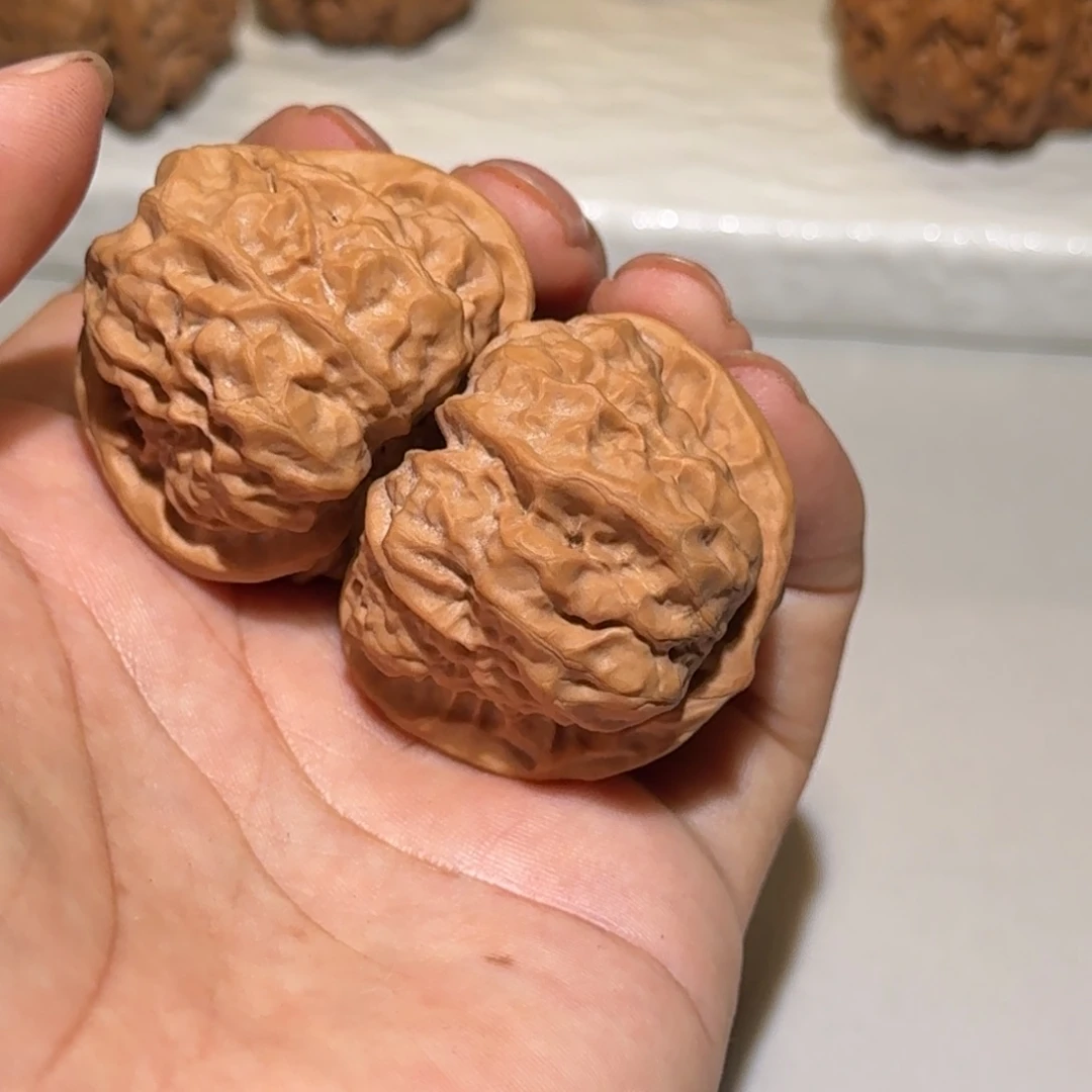 执***圈40尺四开背怀柔蛤蟆头999