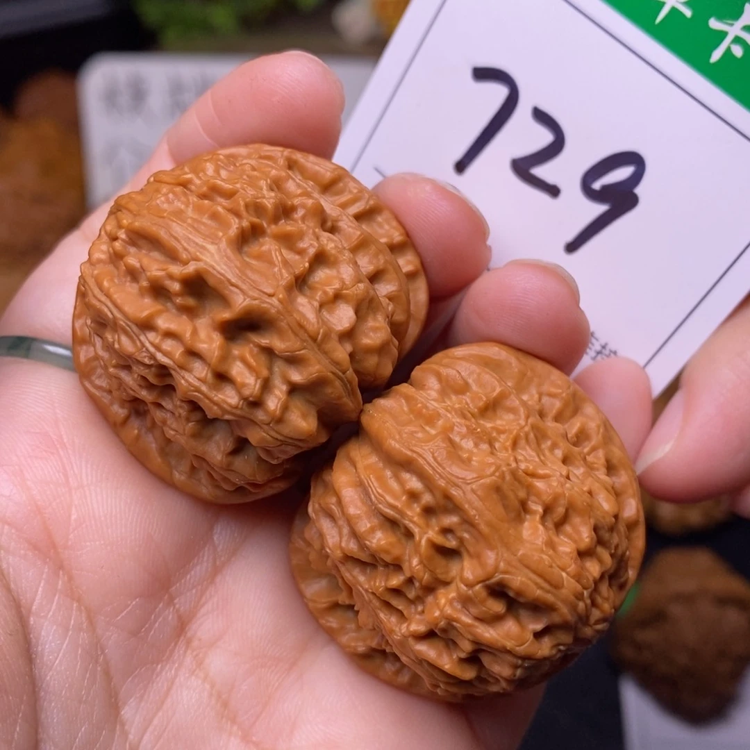 把件文玩核桃729白狮子3.8