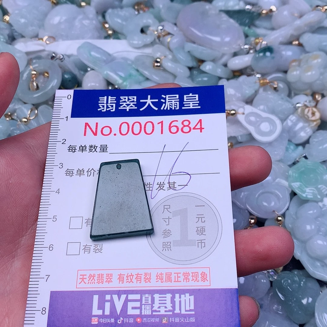 颈饰未镶嵌翡翠v