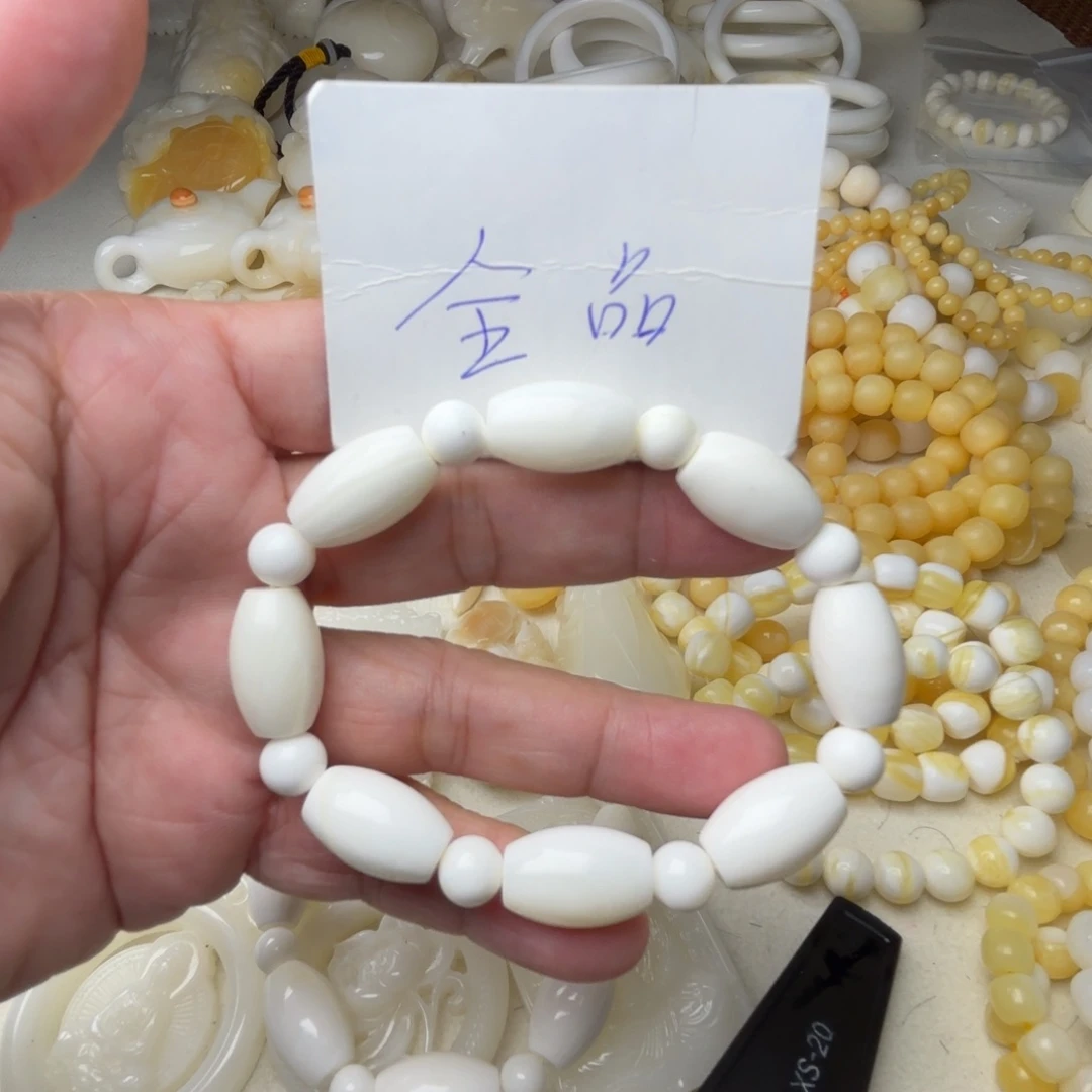 非金属贝壳C****e天然贝壳