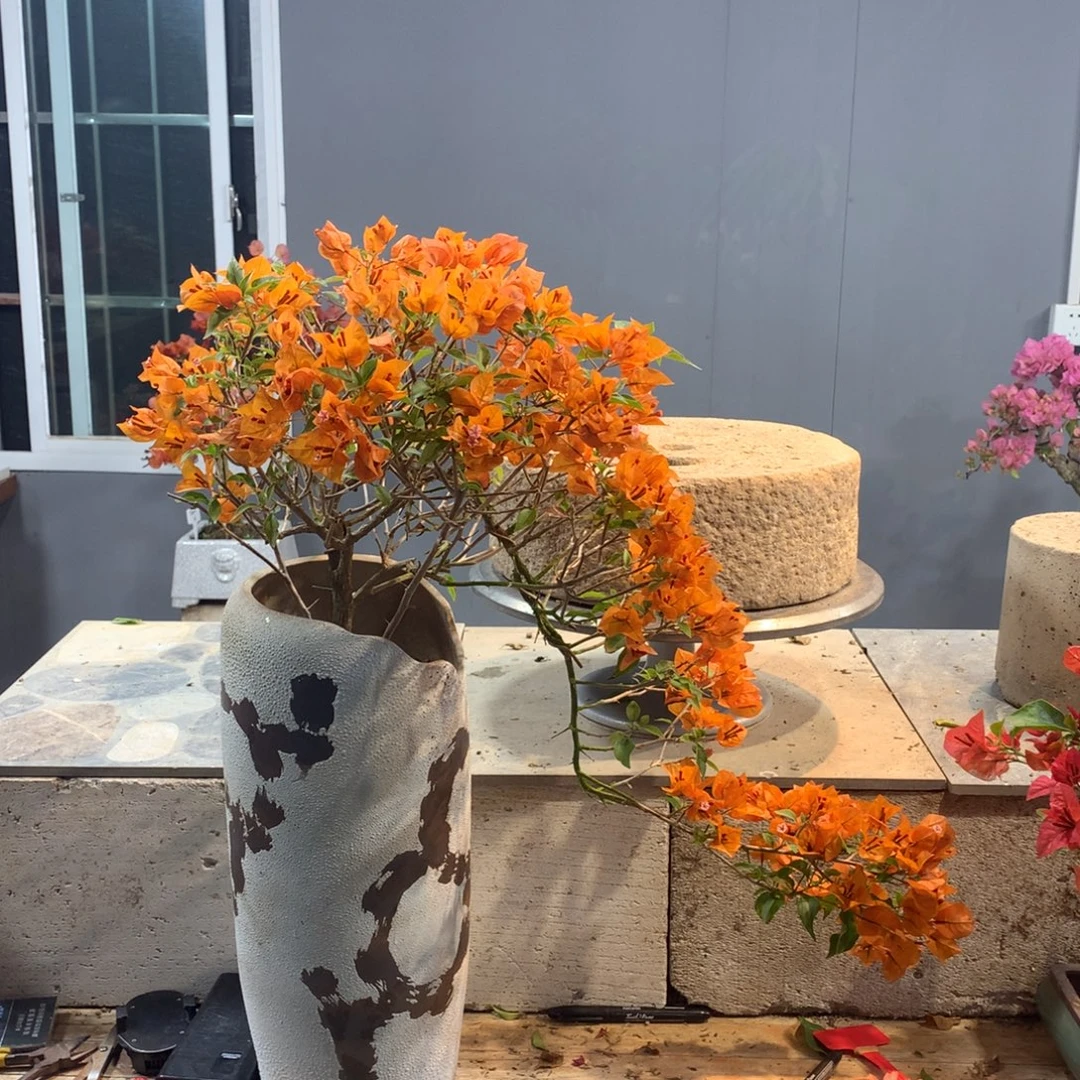 大量花朵（建议范围：8朵-15朵 或40%以上）