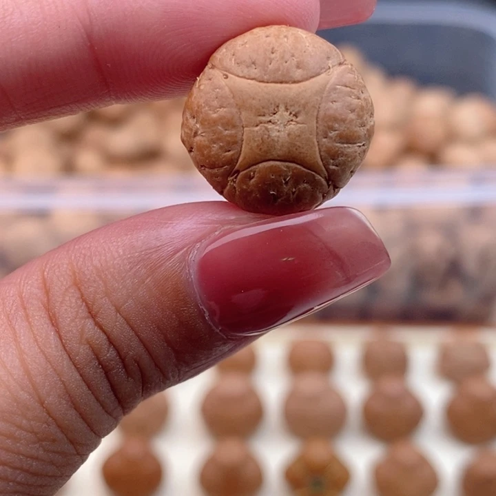 琪***吊坠凤眼菩提麒麟