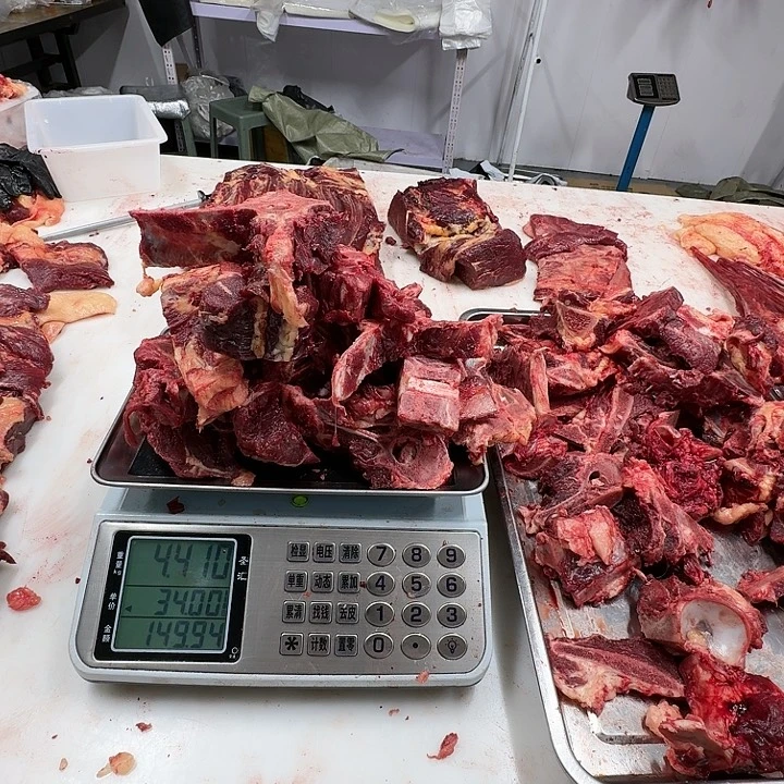 金***壤9个月中国大陆马骨头