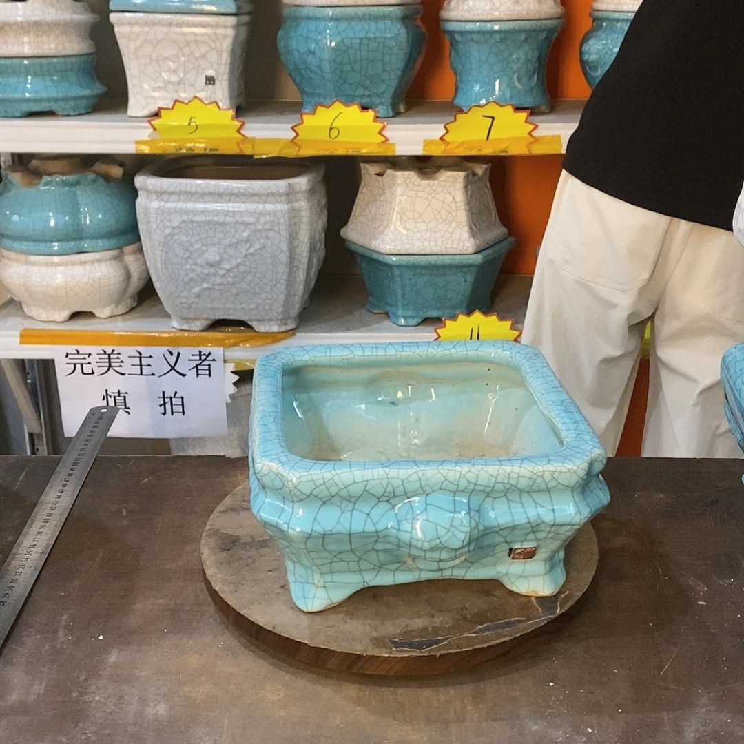 你*瞅花盆花盆里的花都