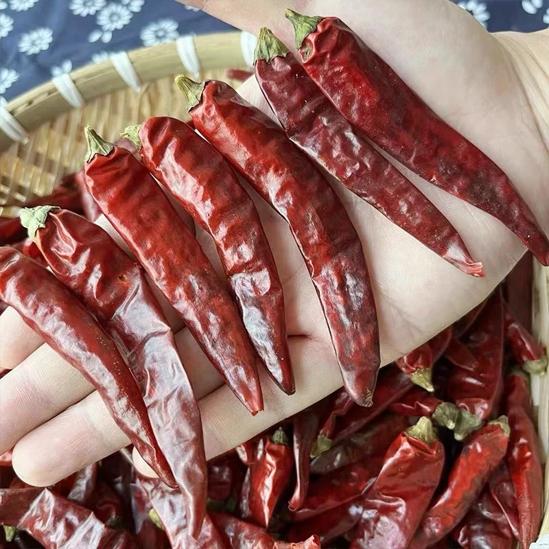 干辣椒特香干货散装香辣家用炒菜香料调料500g