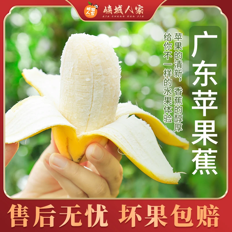 【峡城人家】(需催熟)广东苹果蕉3/4.5斤新鲜水果芭蕉香蕉