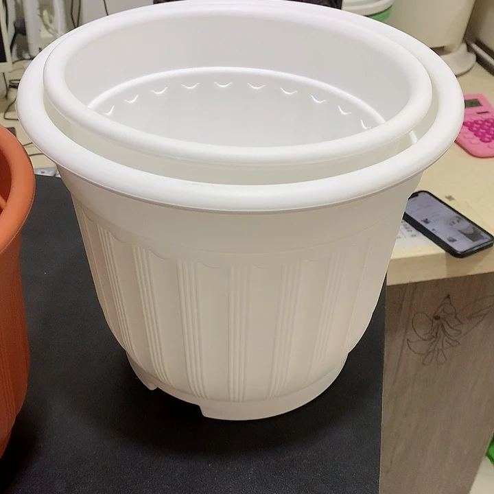 罗马口24口21白各2个无托