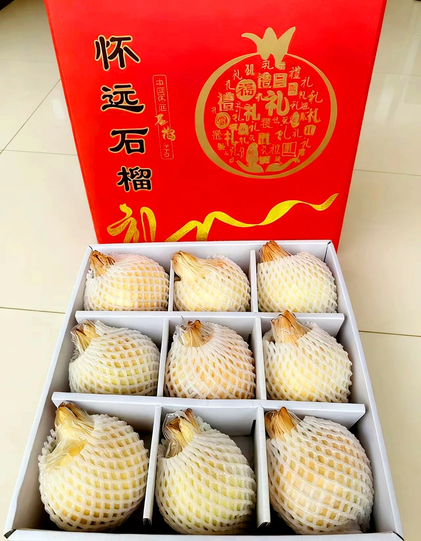 怀远特产白石籽石榴 颗粒饱满晶莹剔透 新鲜采摘当天发货