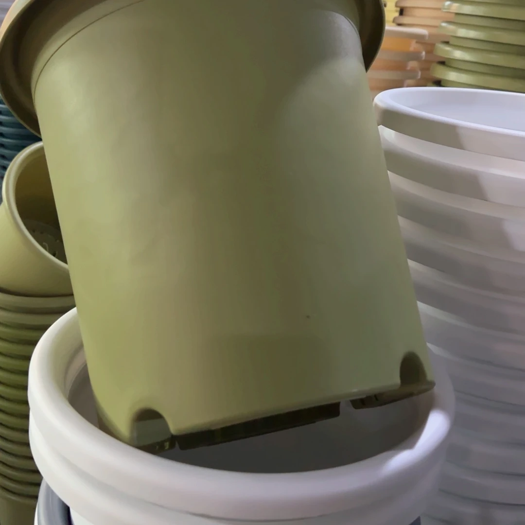 树脂特价7#无拖果绿6个